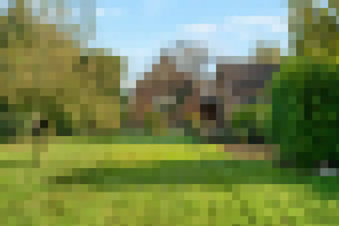 Huisdijk 16 Doornspijk thumbnail 29