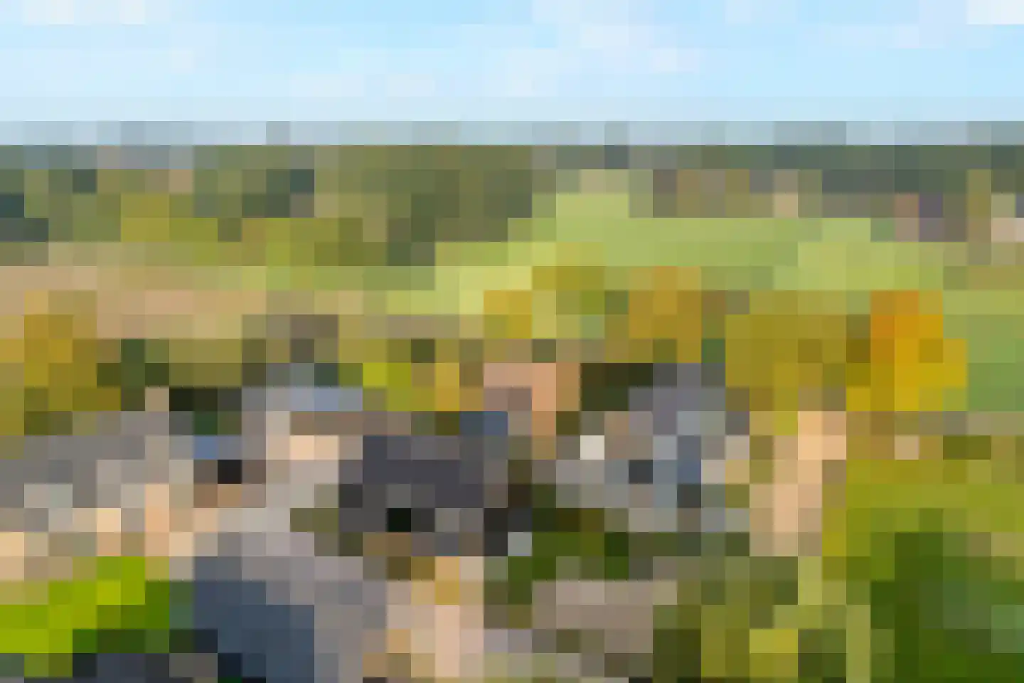 Huisdijk 16 Doornspijk thumbnail 32