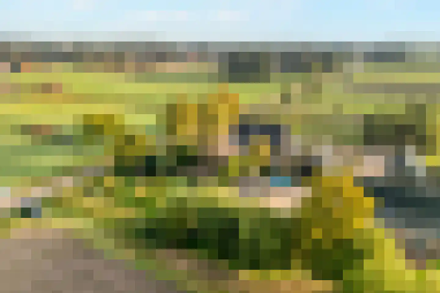 Huisdijk 16 Doornspijk thumbnail 34