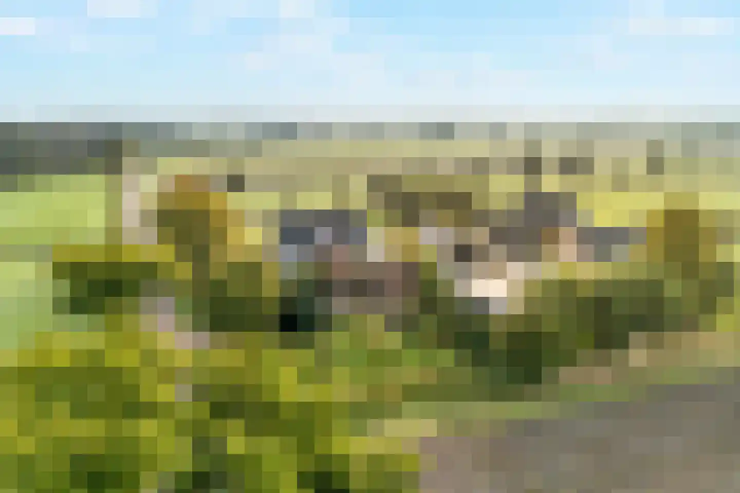 Huisdijk 16 Doornspijk thumbnail 36