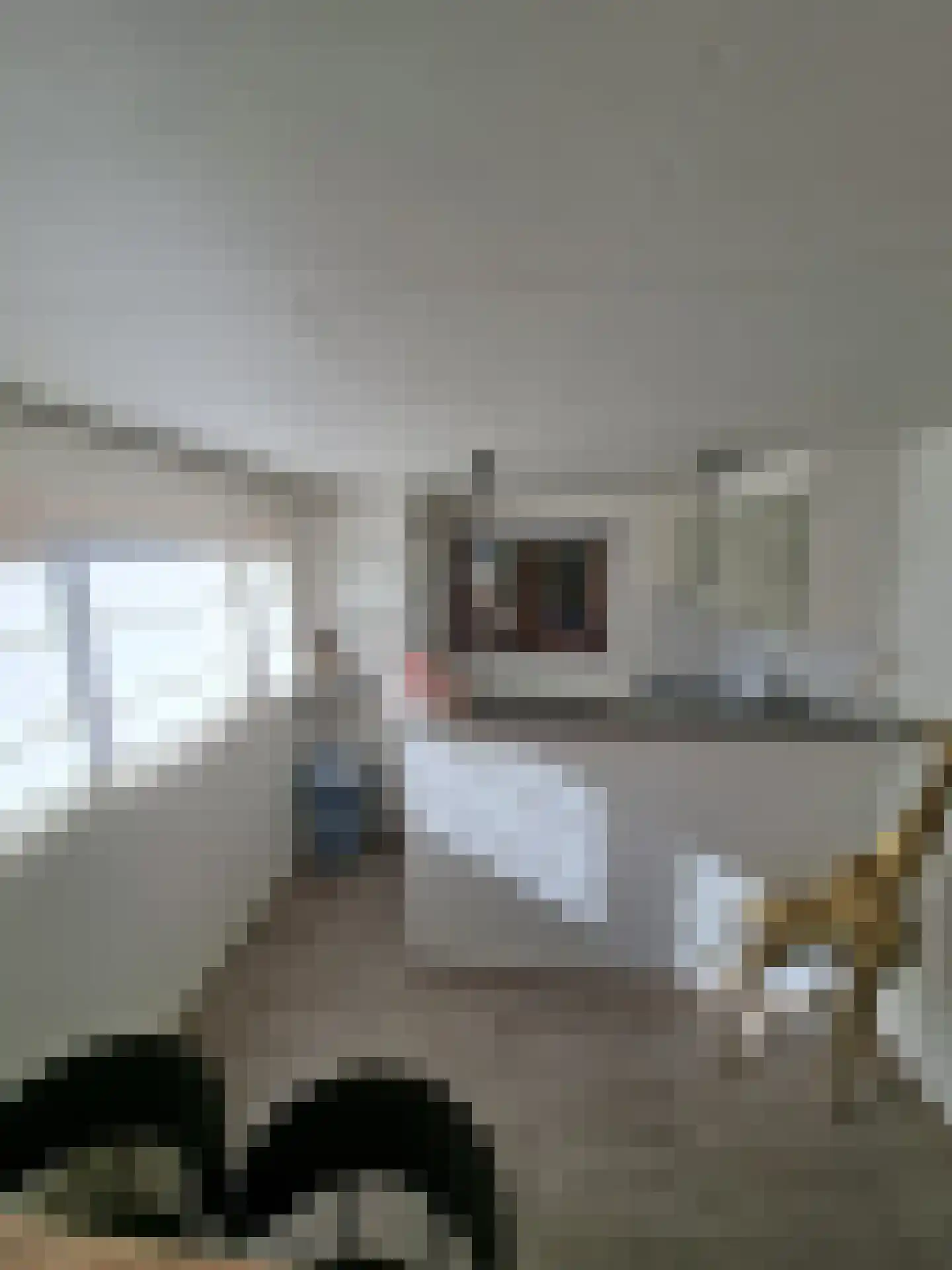 Huisdreef 1 Alphen thumbnail 10
