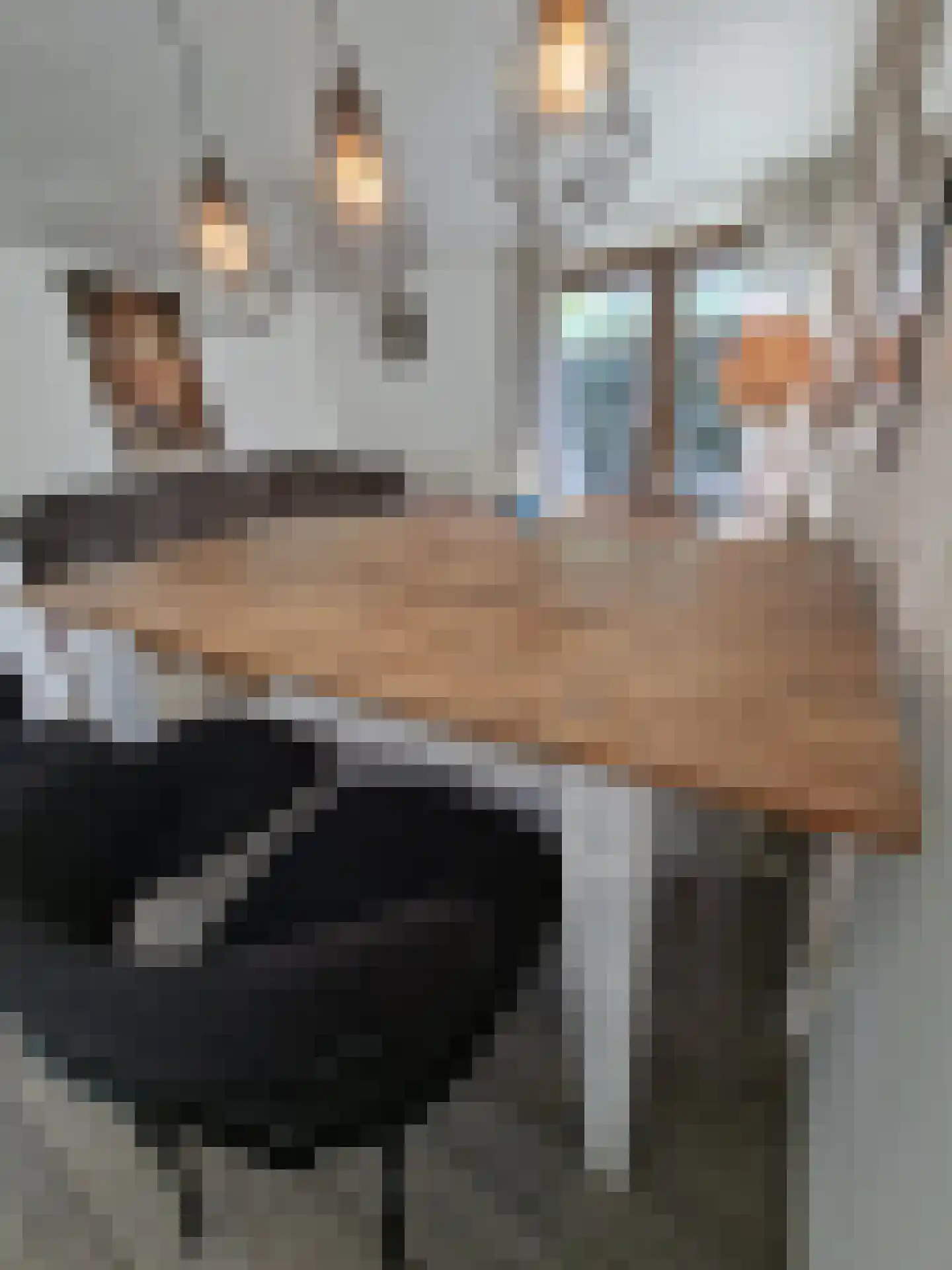 Huisdreef 1 Alphen thumbnail 13