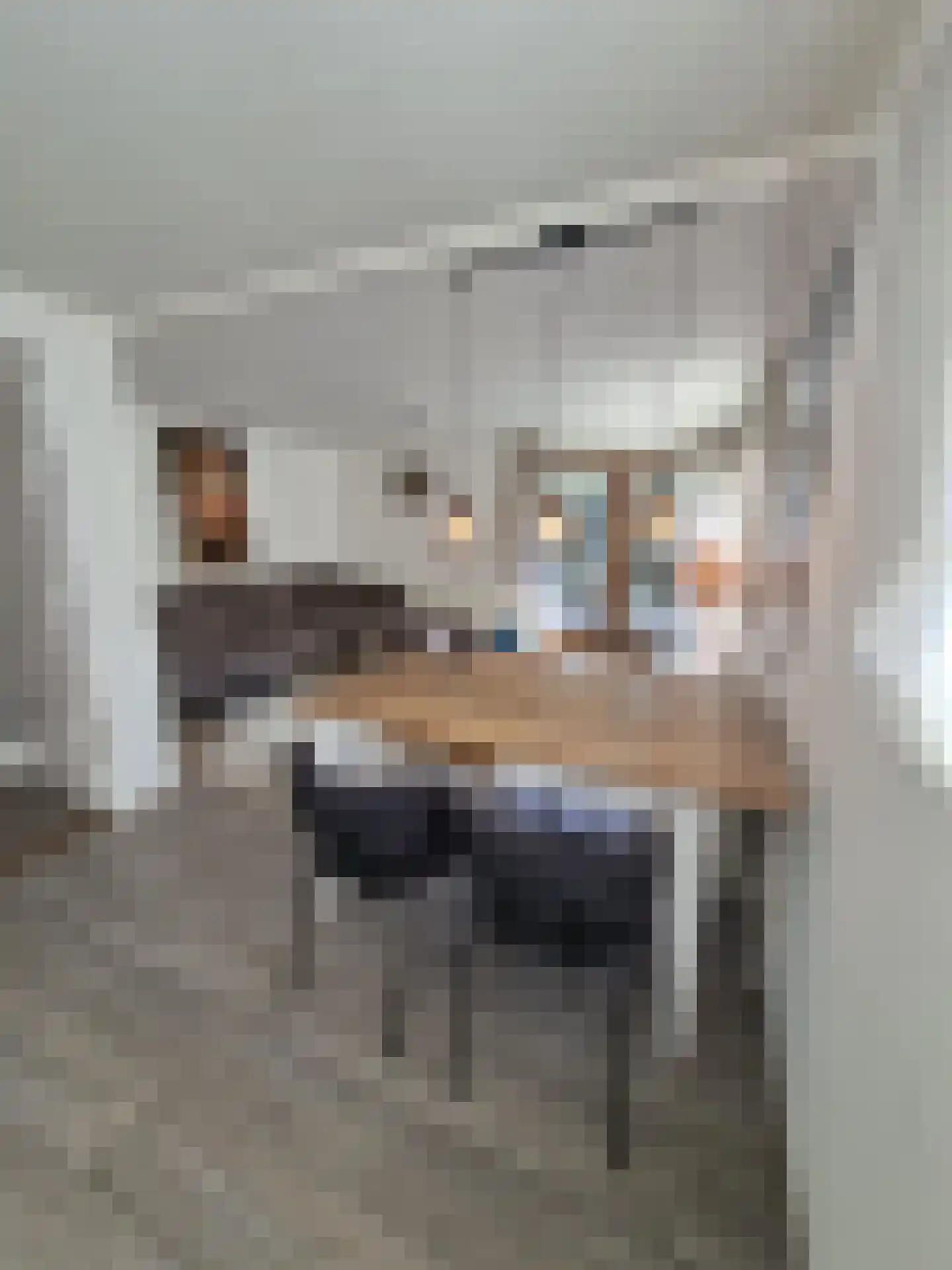 Huisdreef 1 Alphen thumbnail 14