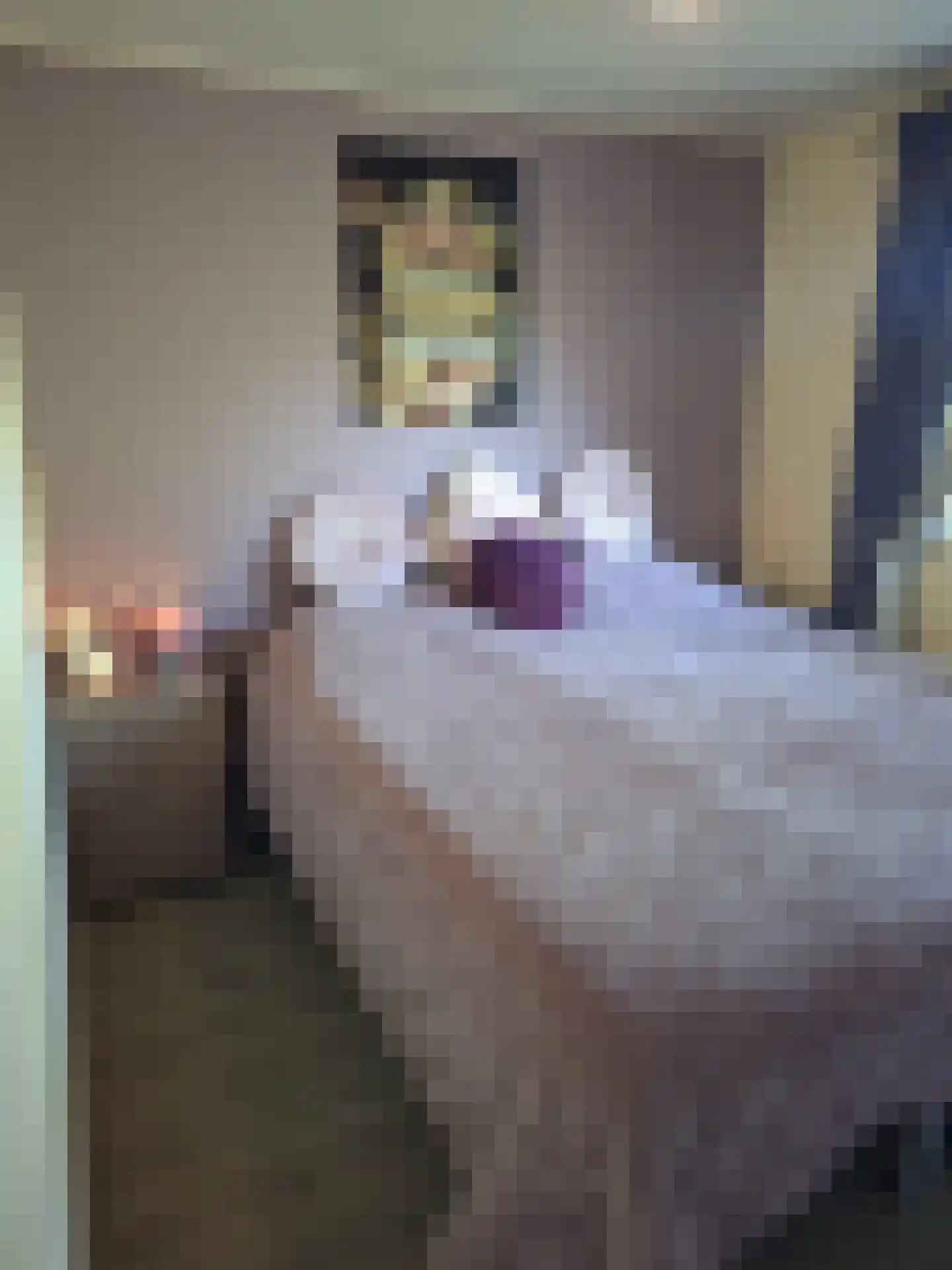 Huisdreef 1 Alphen thumbnail 16