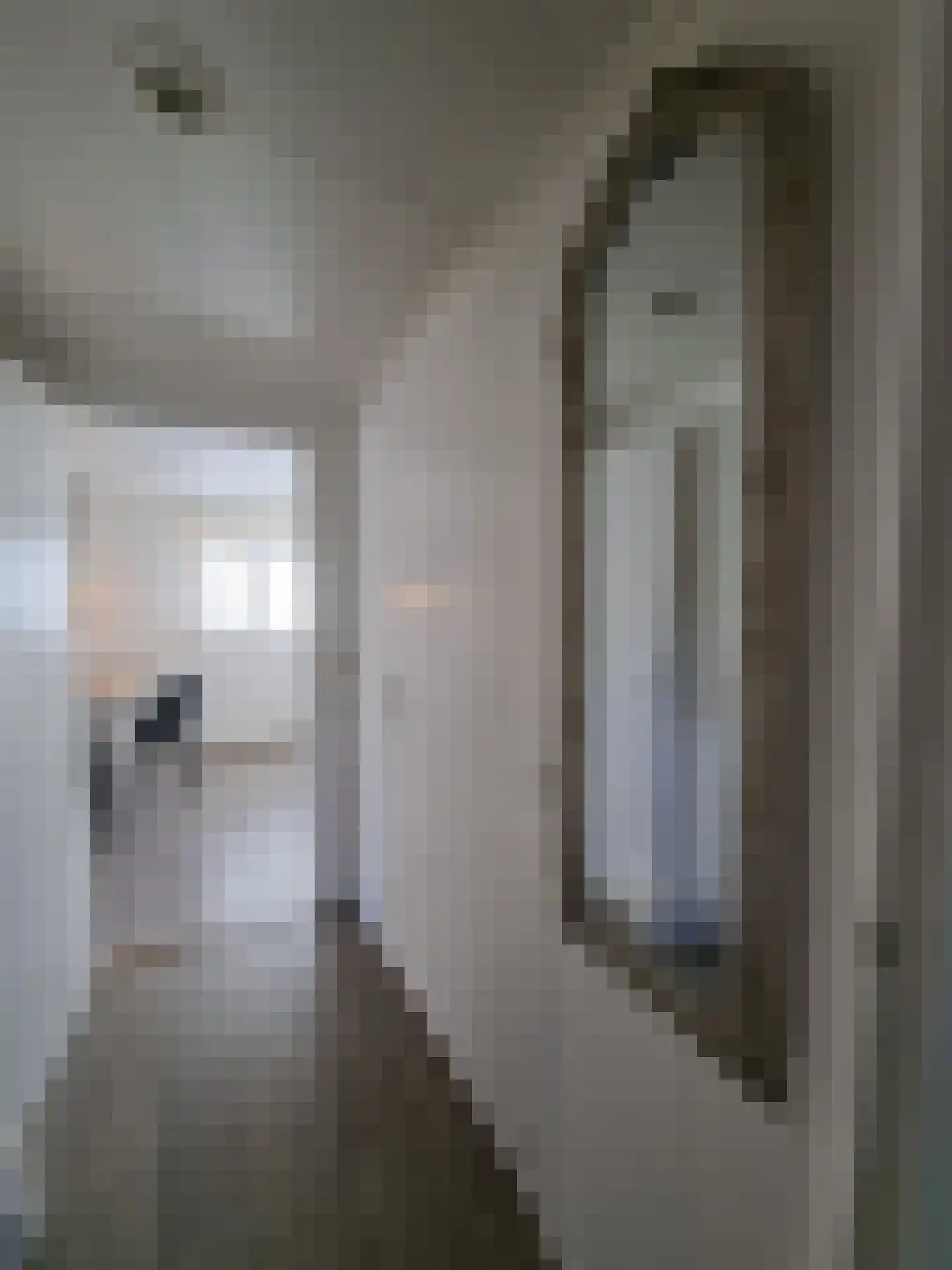 Huisdreef 1 Alphen thumbnail 19