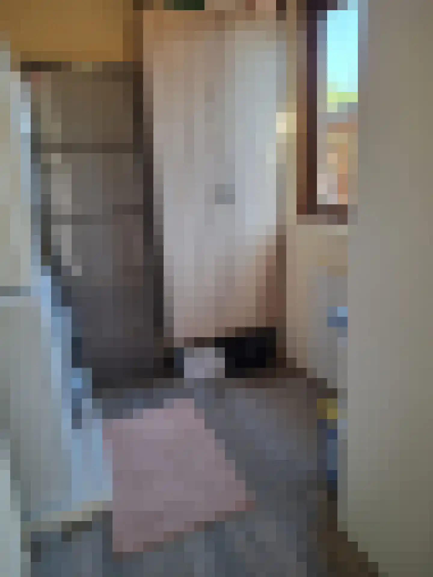Huisdreef 1 Alphen thumbnail 20