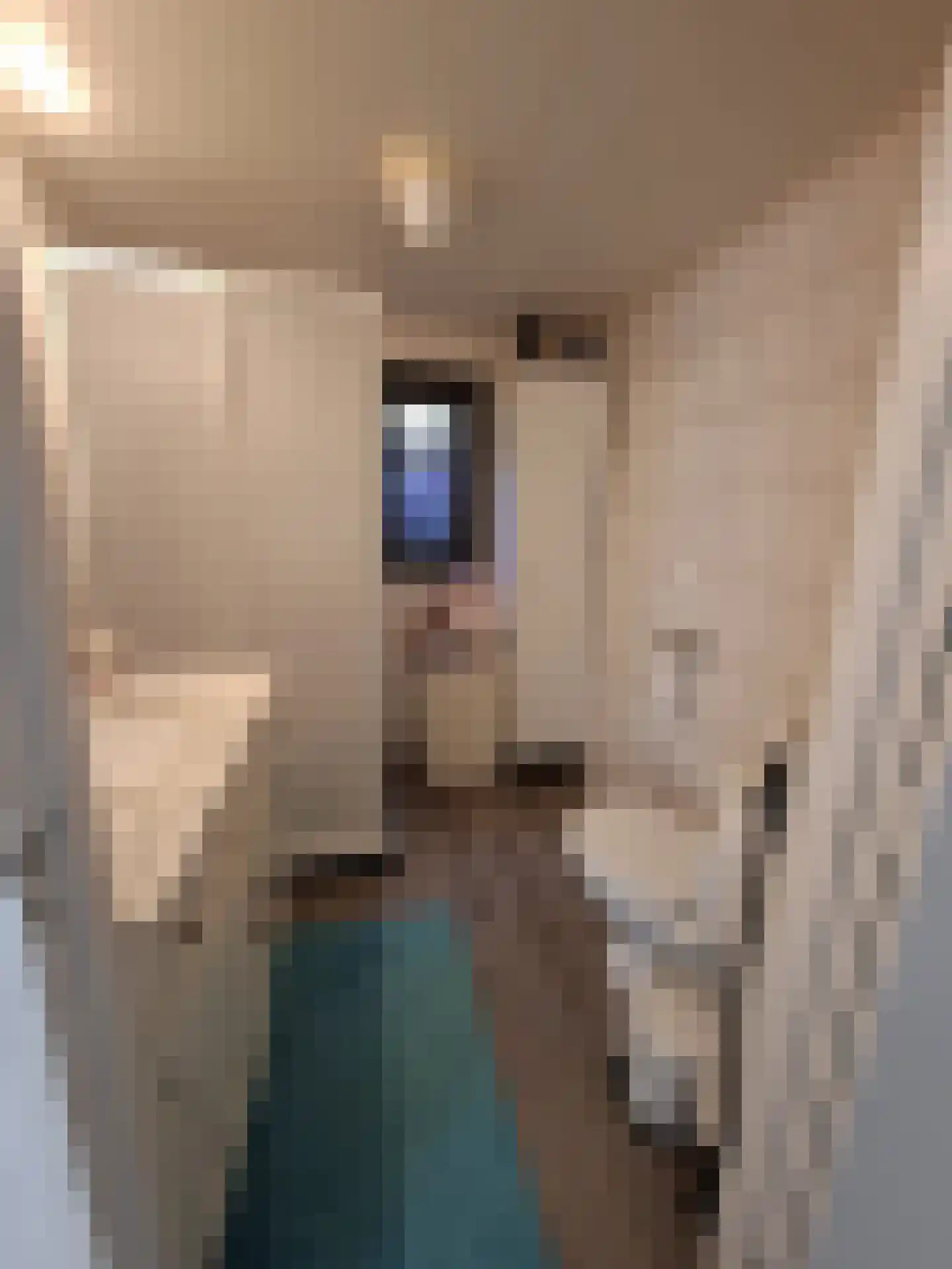 Huisdreef 1 Alphen thumbnail 24