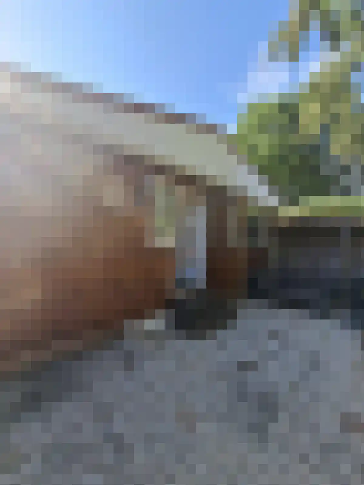 Huisdreef 1 Alphen thumbnail 30
