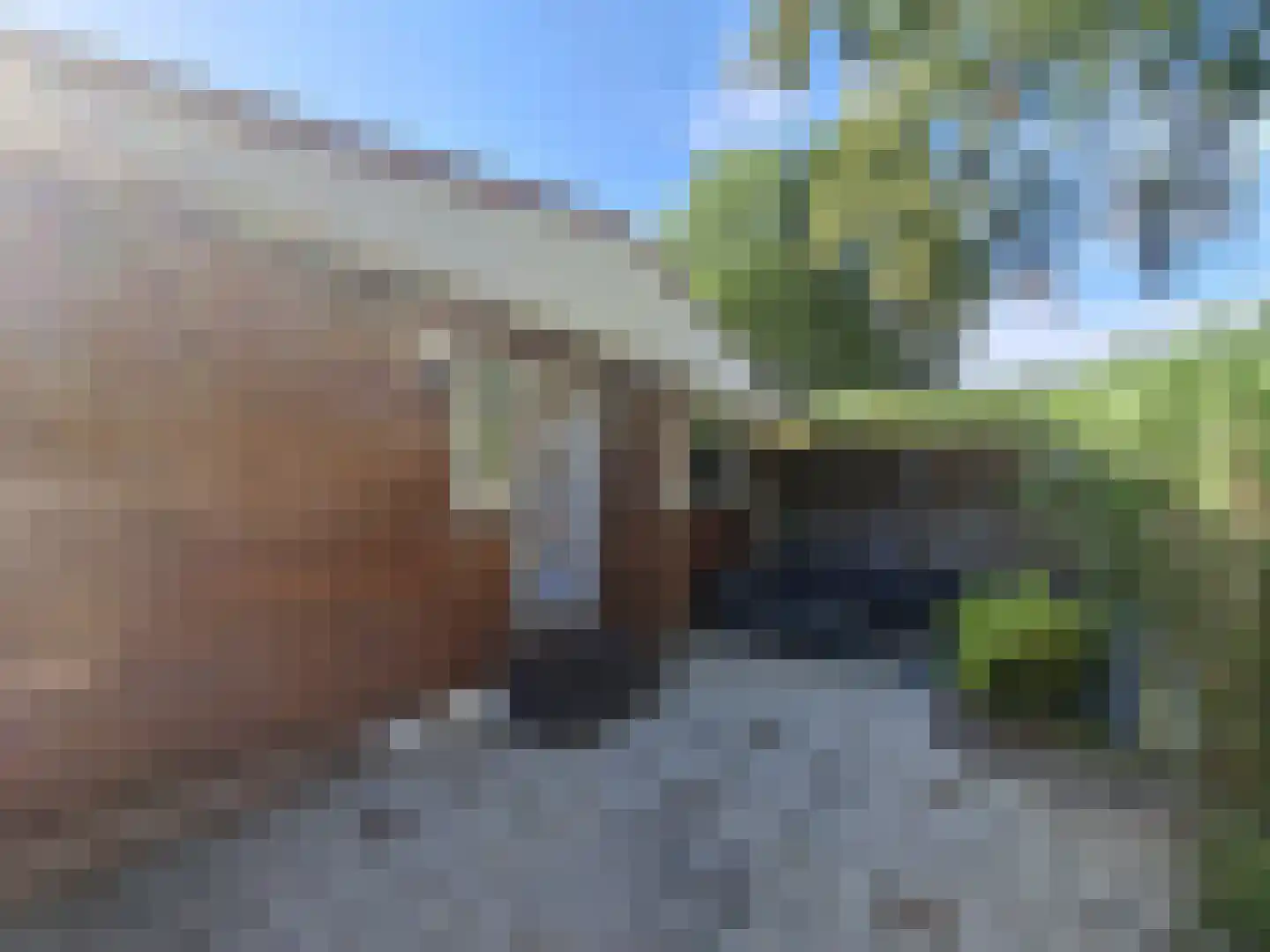 Huisdreef 1 Alphen thumbnail 33