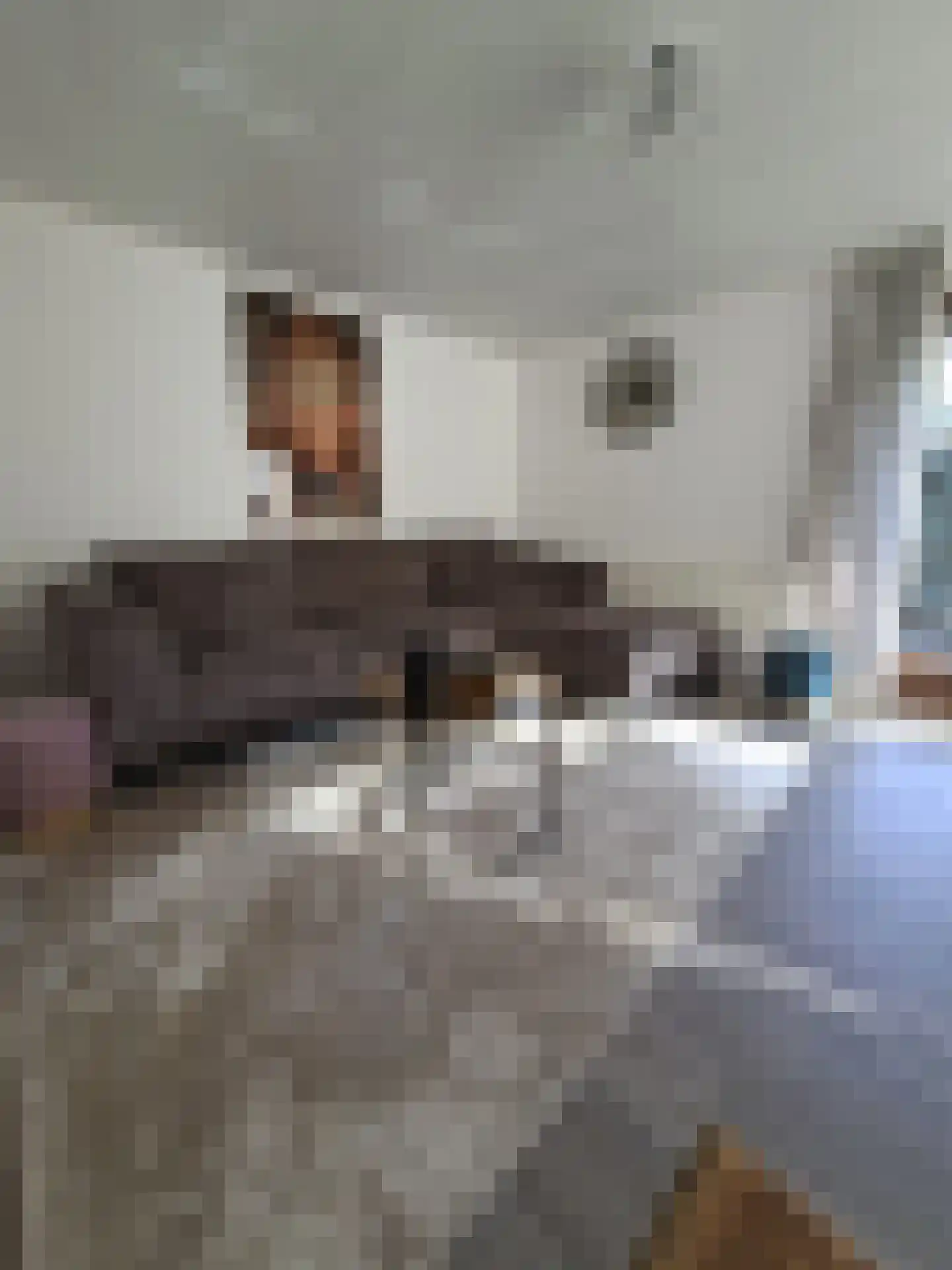 Huisdreef 1 Alphen thumbnail 5