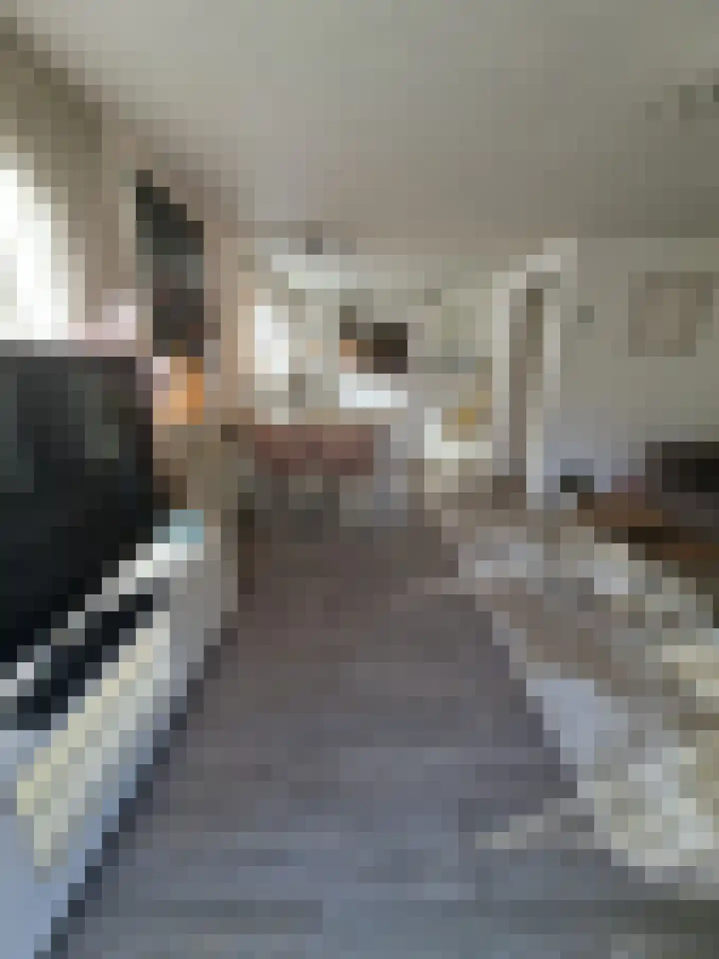 Huisdreef 1 Alphen thumbnail 6