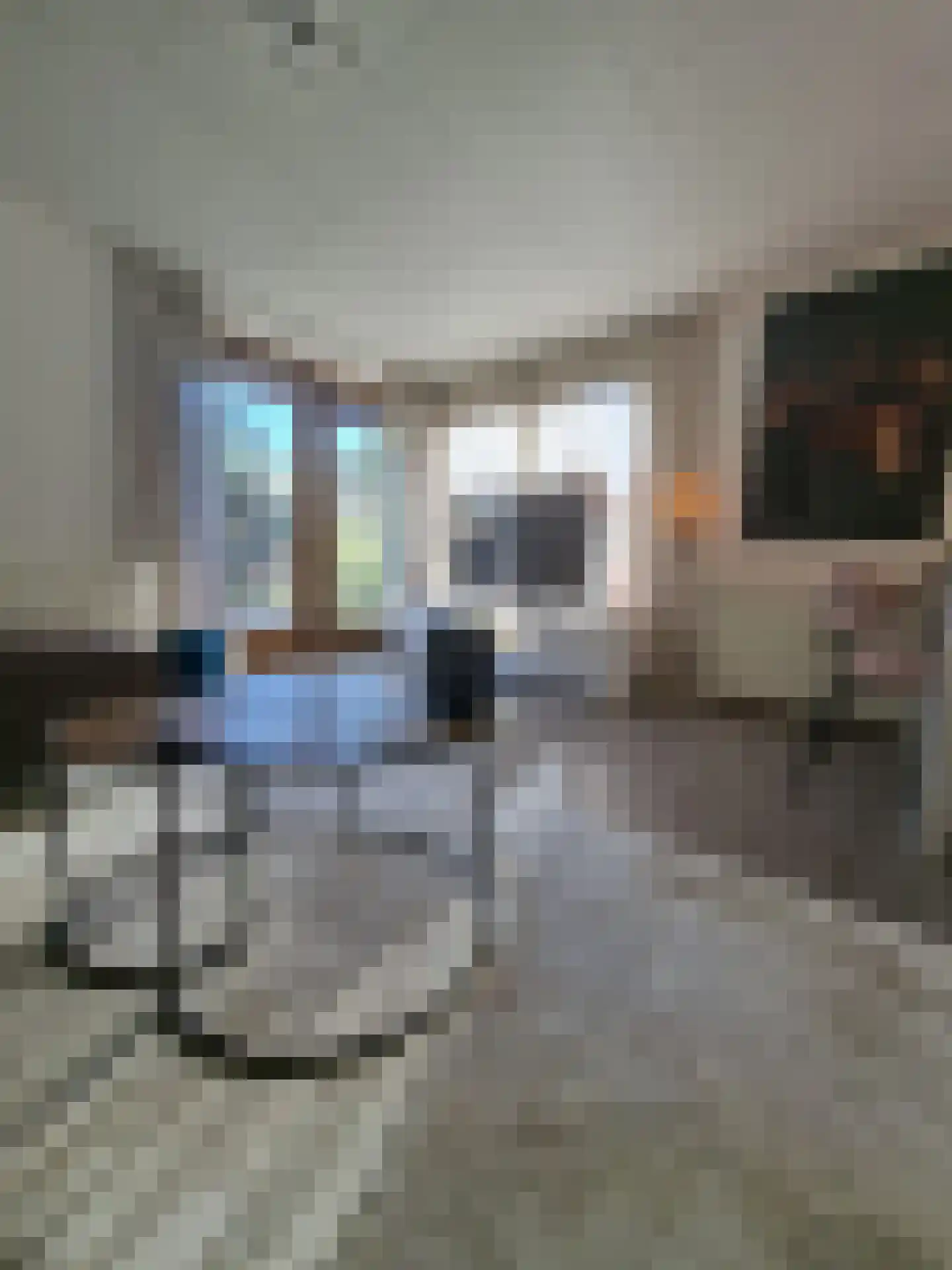 Huisdreef 1 Alphen thumbnail 7