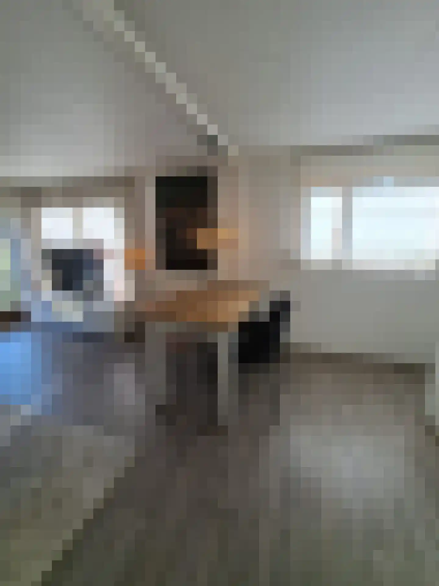 Huisdreef 1 Alphen thumbnail 9