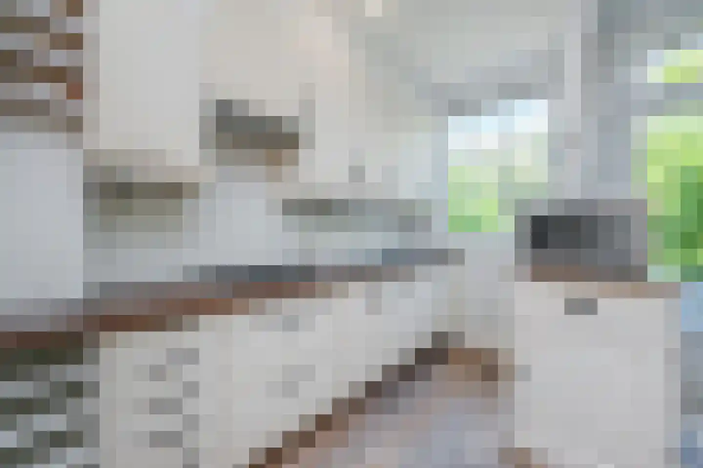 Huisduinenstraat 48 Den Haag thumbnail 12