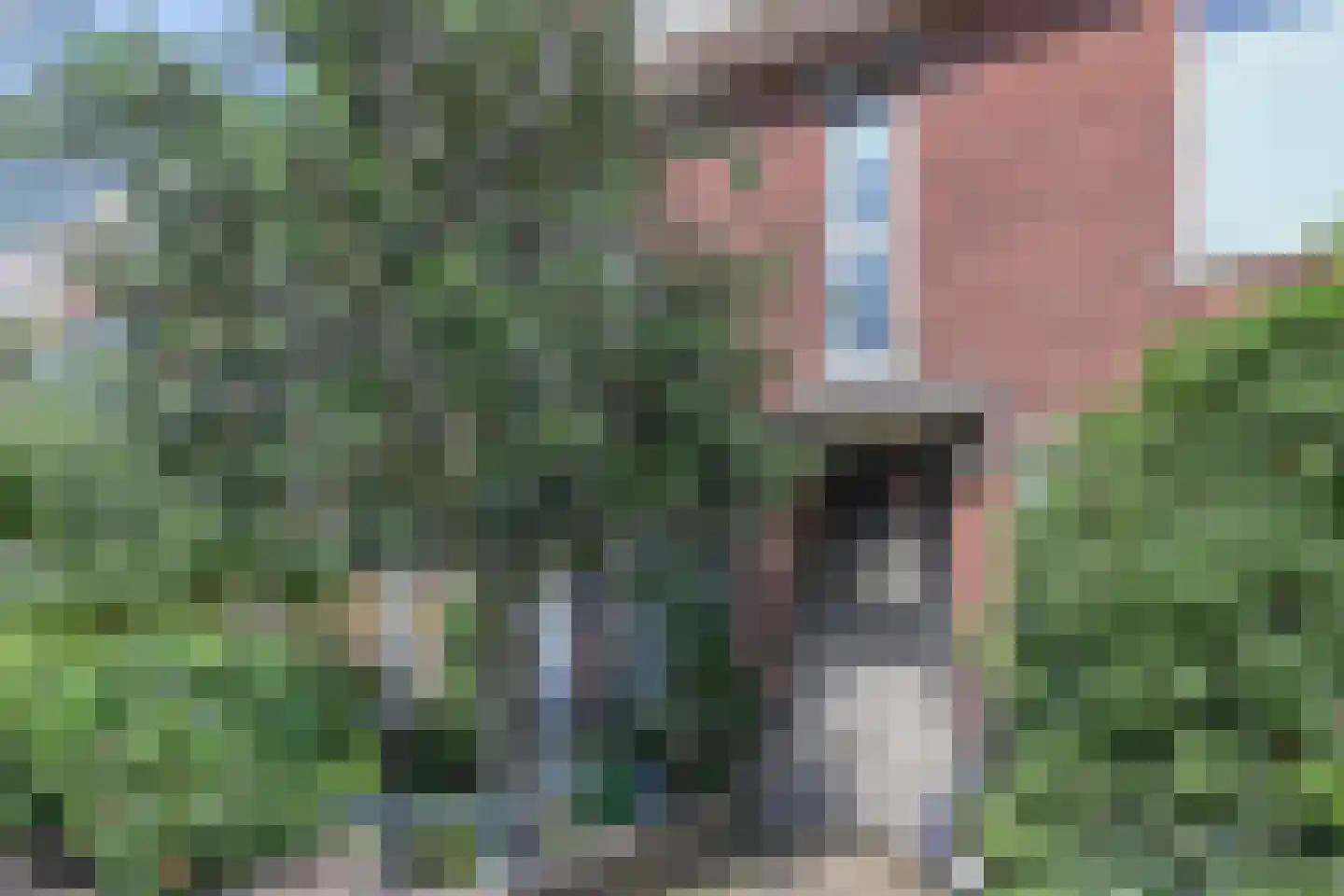Huisduinenstraat 48 Den Haag thumbnail 4