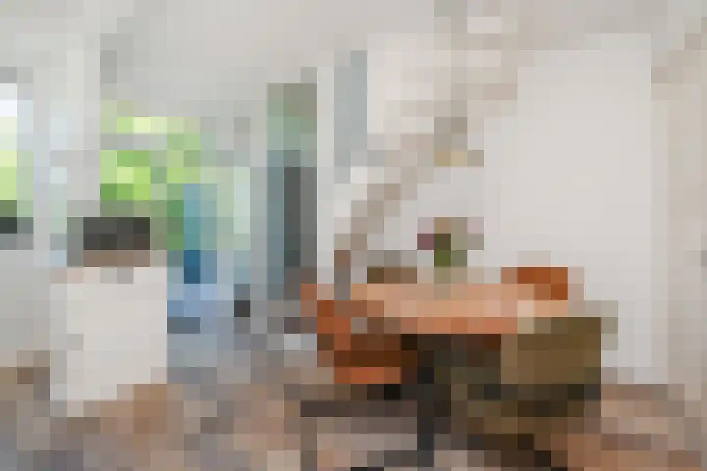 Huisduinenstraat 48 Den Haag thumbnail 9