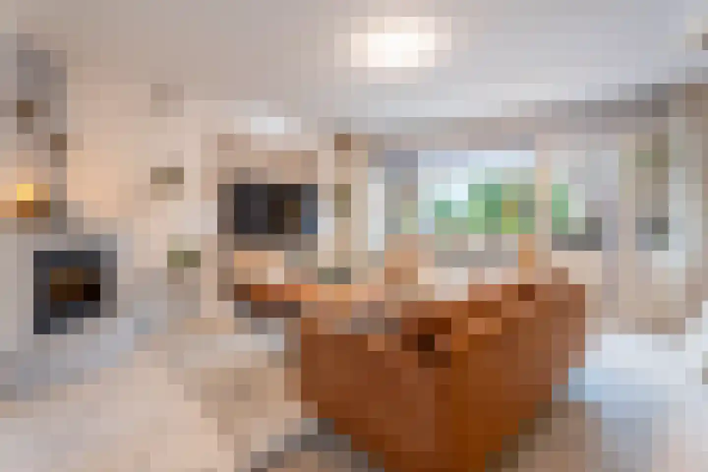 Huiserf 29 Breda thumbnail 12