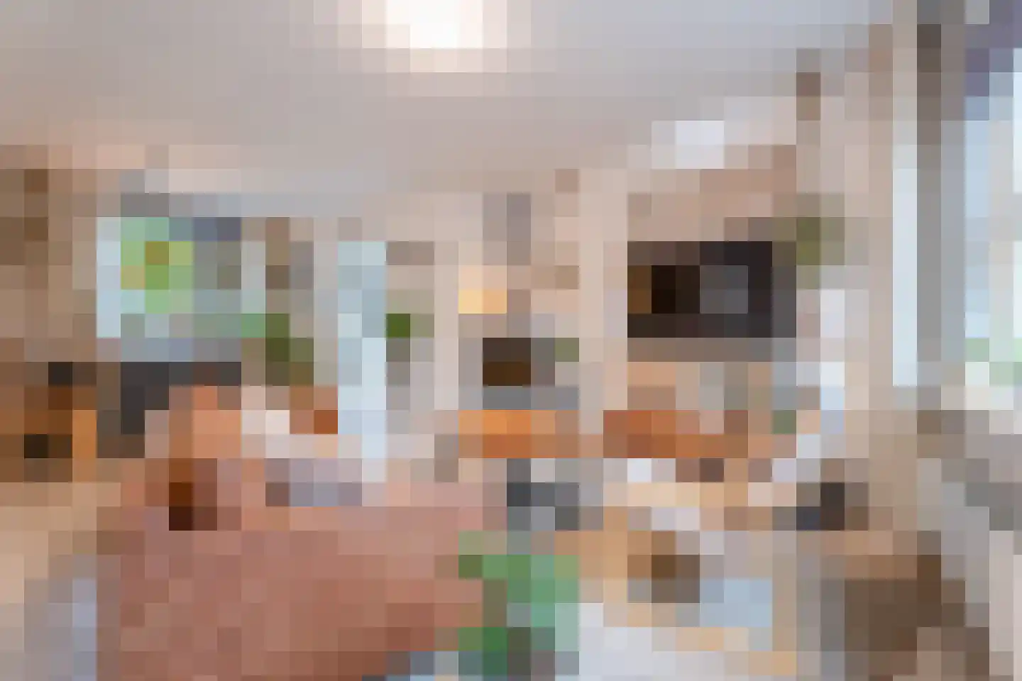 Huiserf 29 Breda thumbnail 13