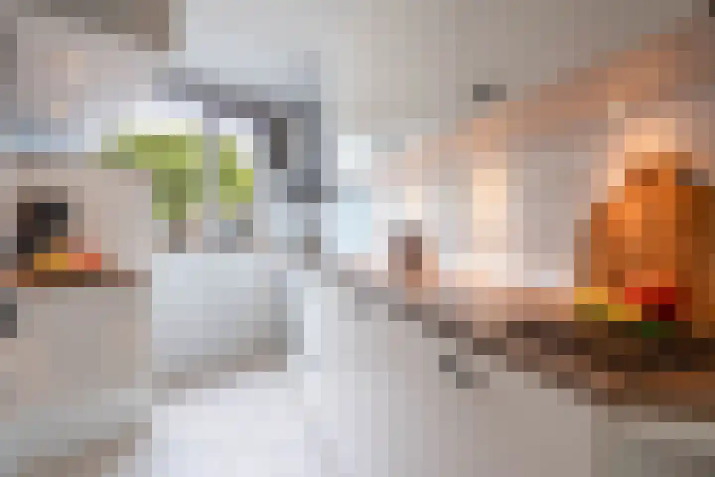 Huiserf 29 Breda thumbnail 15