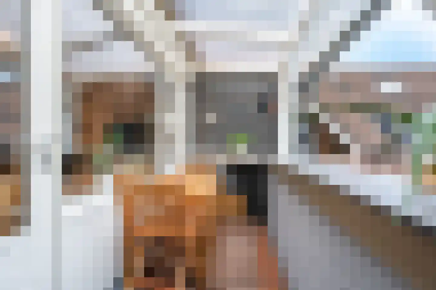 Huiserf 29 Breda thumbnail 17