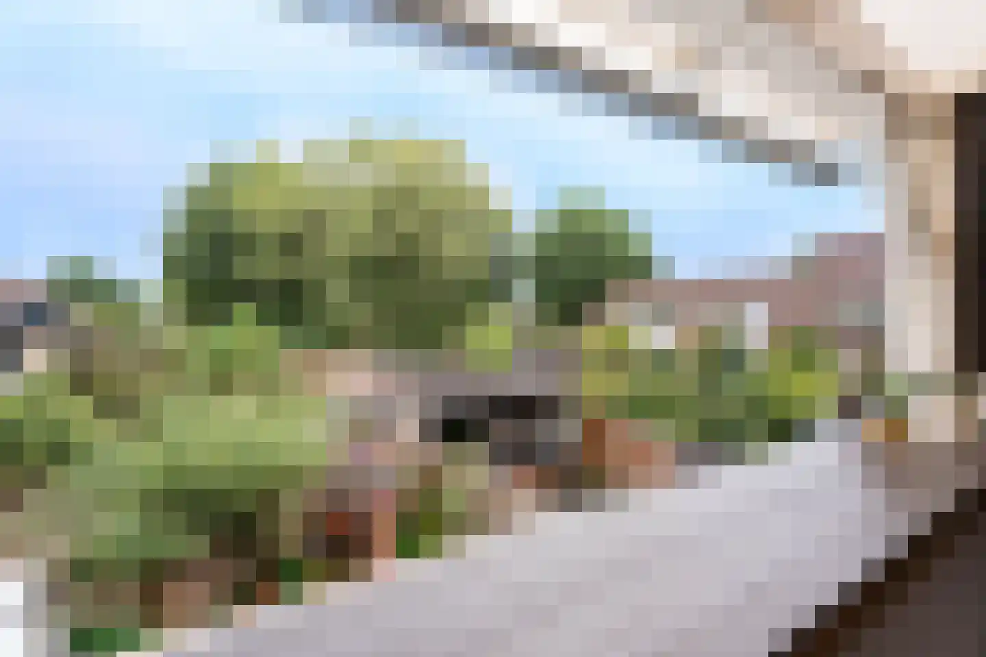 Huiserf 29 Breda thumbnail 18