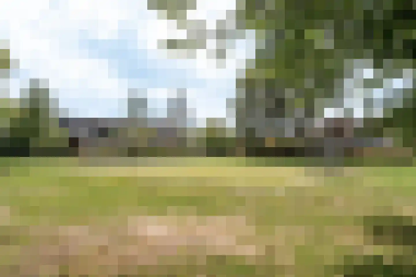 Huiserf 29 Breda thumbnail 31