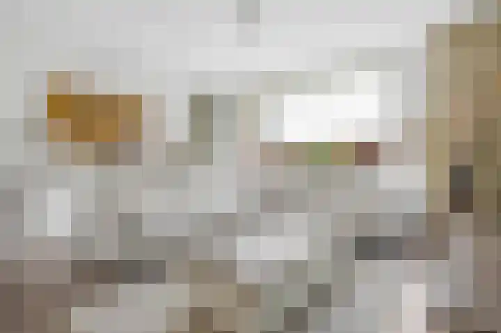 Huiserf 3 Breda thumbnail 10