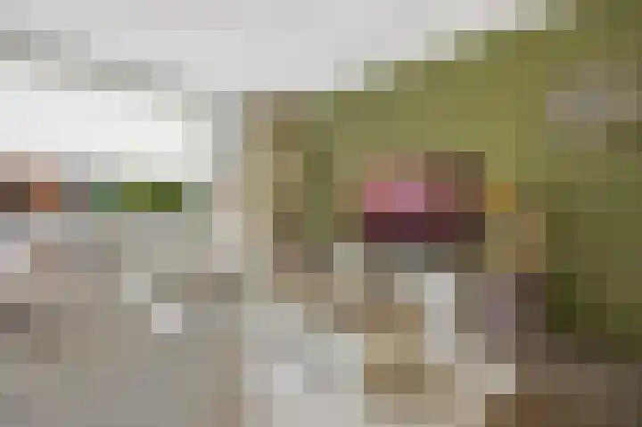 Huiserf 3 Breda thumbnail 11