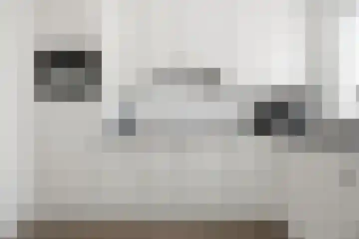 Huiserf 3 Breda thumbnail 16