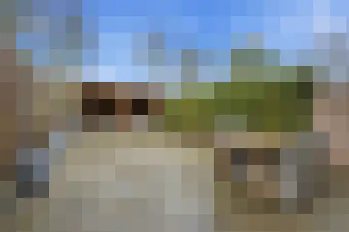 Huiserf 3 Breda thumbnail 18