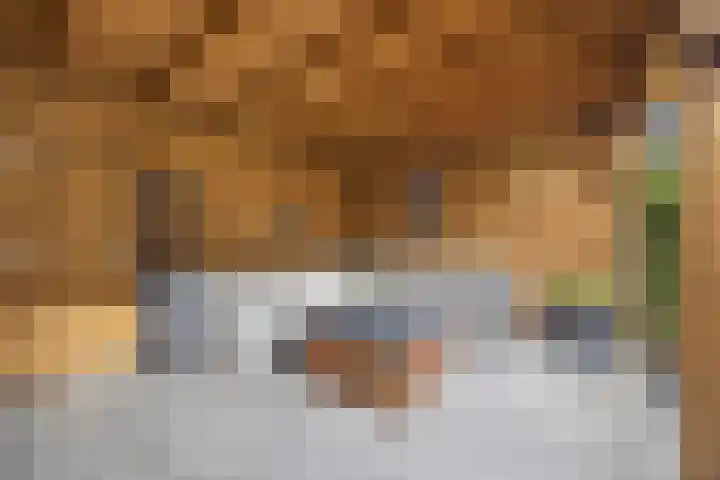 Huiserf 3 Breda thumbnail 21