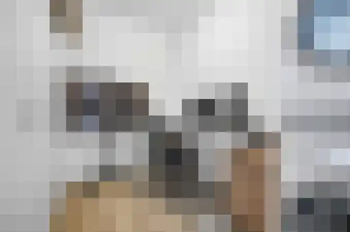 Huiserf 3 Breda thumbnail 24