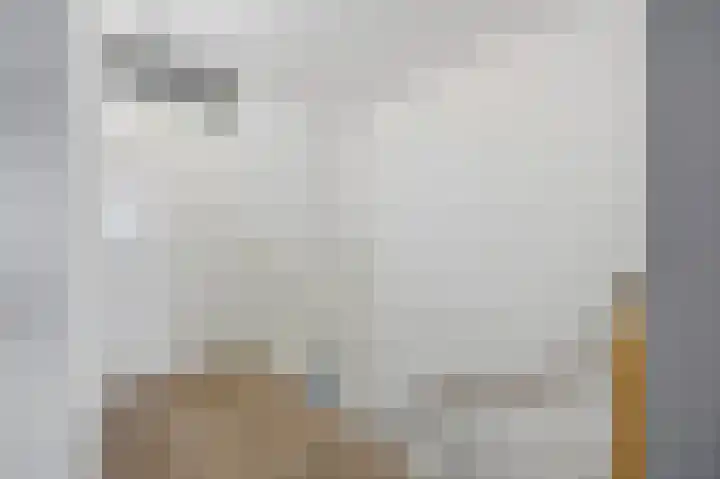Huiserf 3 Breda thumbnail 27