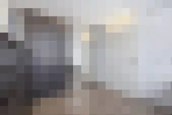 Huiserf 3 Breda thumbnail 30
