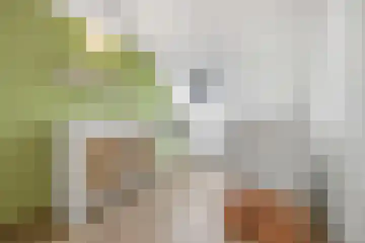 Huiserf 3 Breda thumbnail 33
