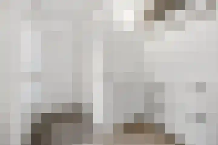 Huiserf 3 Breda thumbnail 5