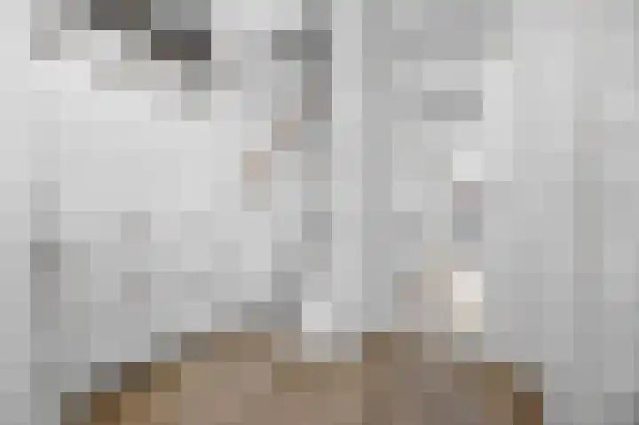 Huiserf 3 Breda thumbnail 6