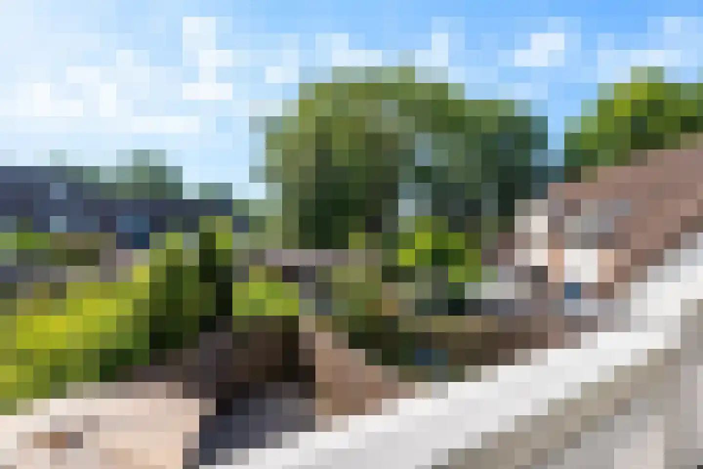 Huiserf 34 Breda thumbnail 10