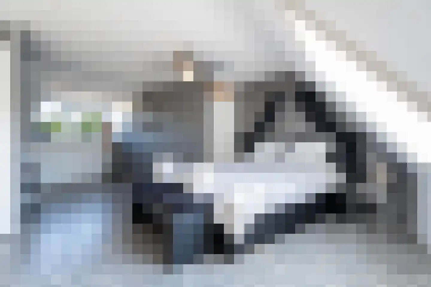 Huiserf 34 Breda thumbnail 13