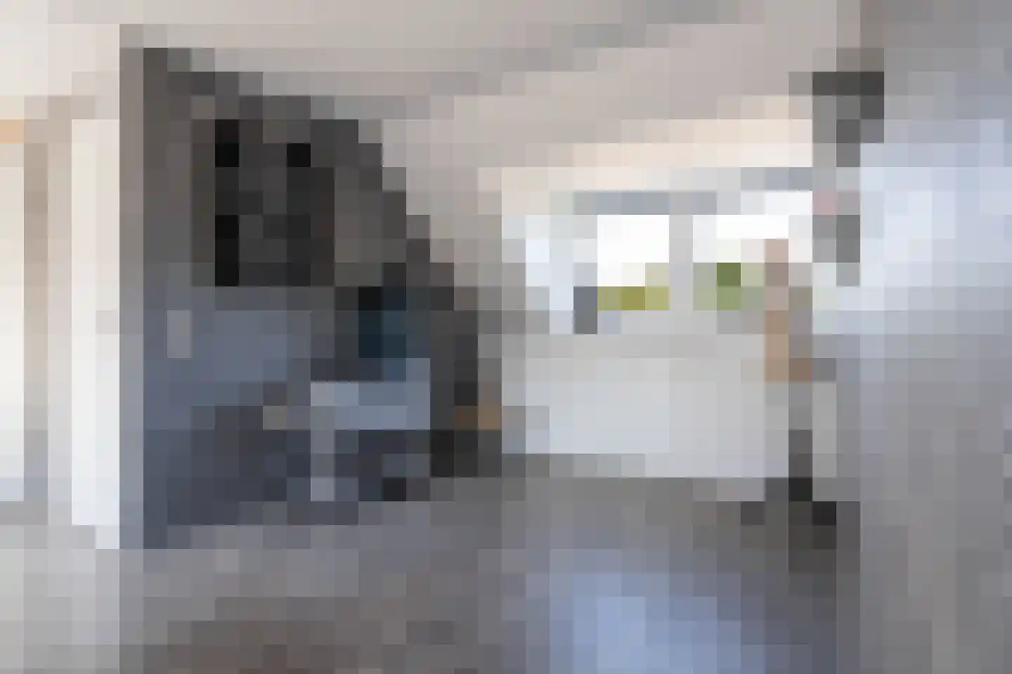 Huiserf 34 Breda thumbnail 16