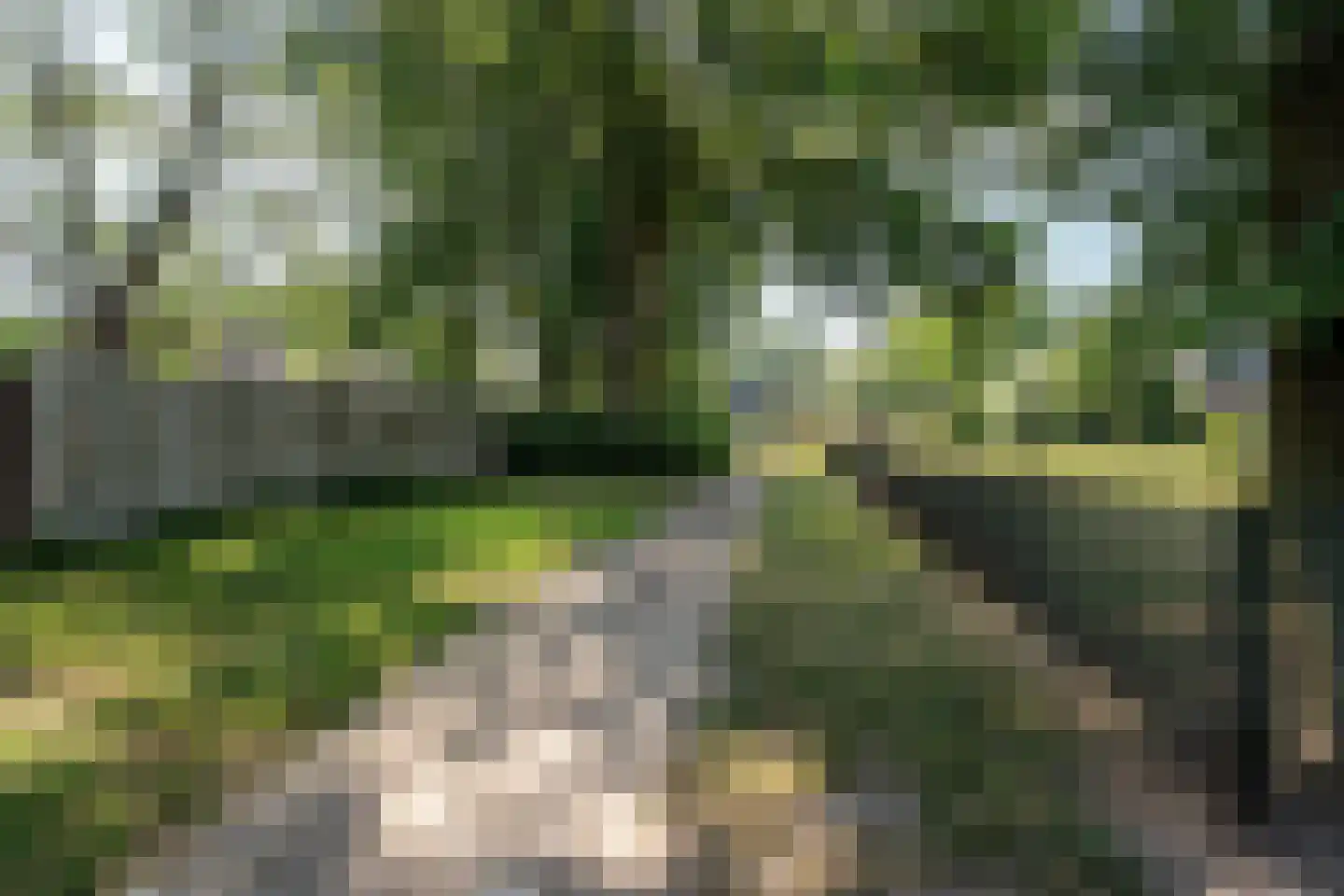 Huiserf 34 Breda thumbnail 22