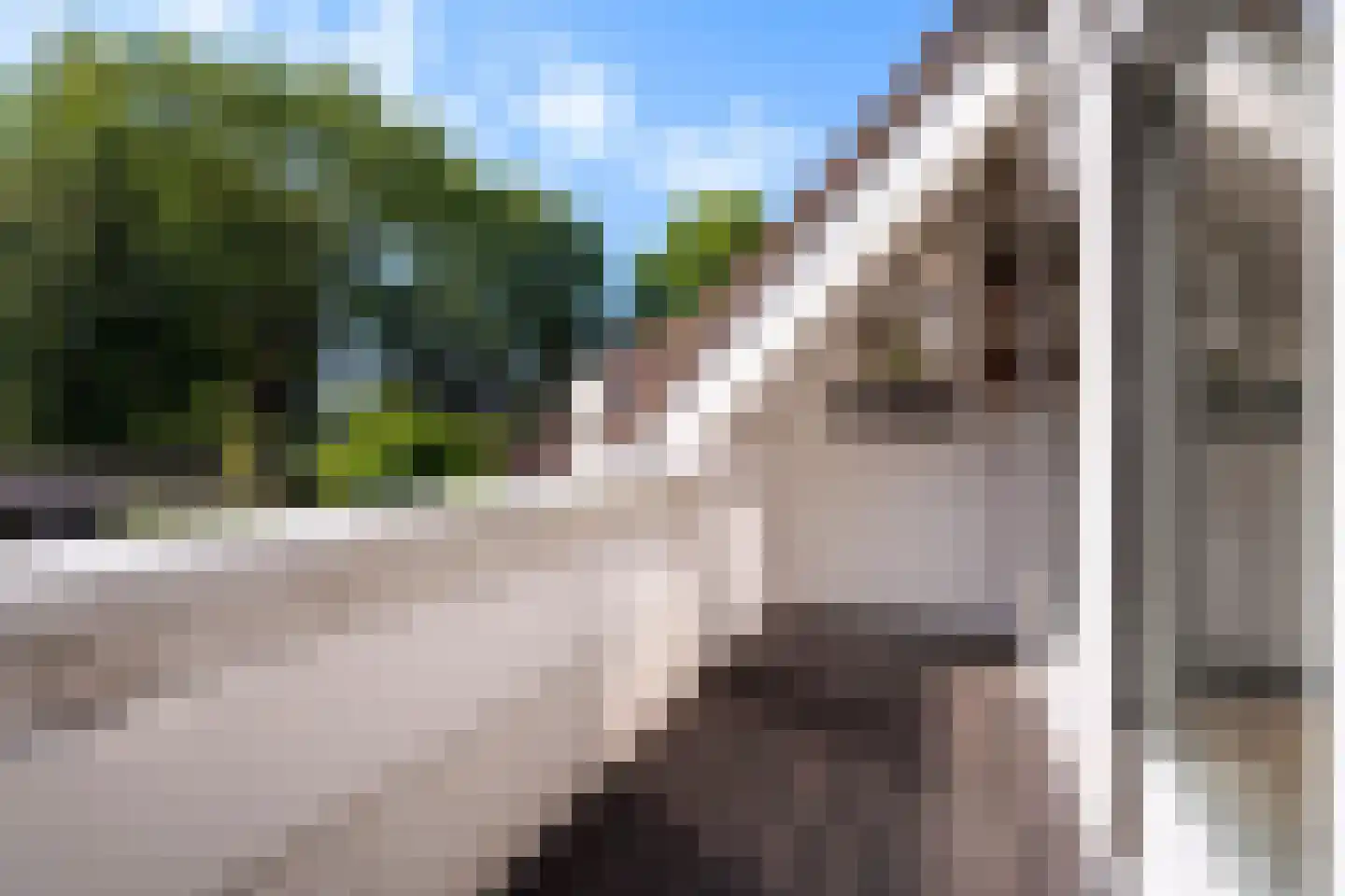 Huiserf 34 Breda thumbnail 8