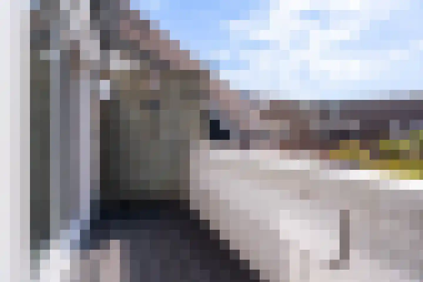 Huiserf 34 Breda thumbnail 9