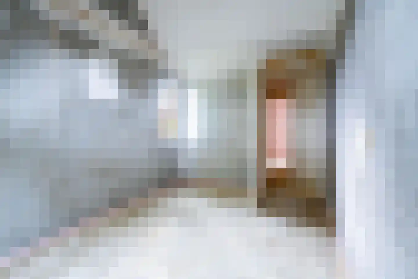 Huiserf 41 Breda thumbnail 13