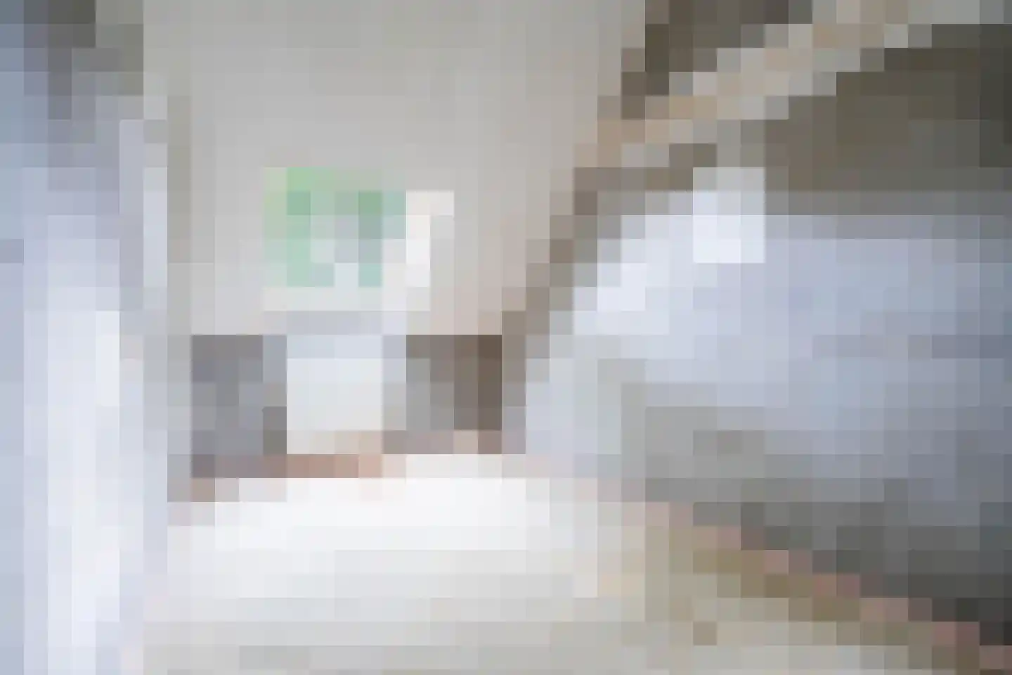Huiserf 41 Breda thumbnail 14
