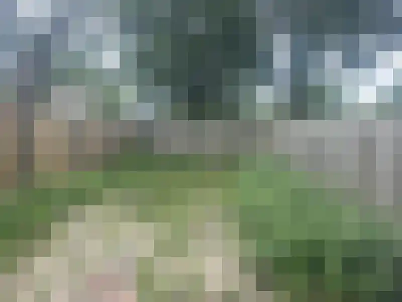 Huiserf 41 Breda thumbnail 16