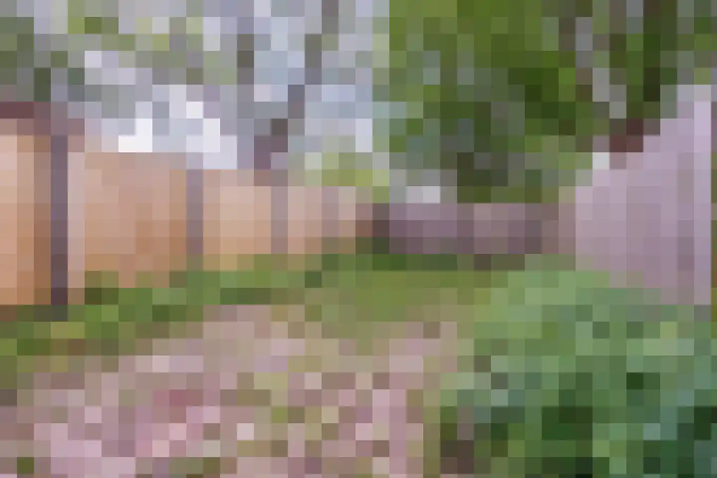 Huiserf 41 Breda thumbnail 17