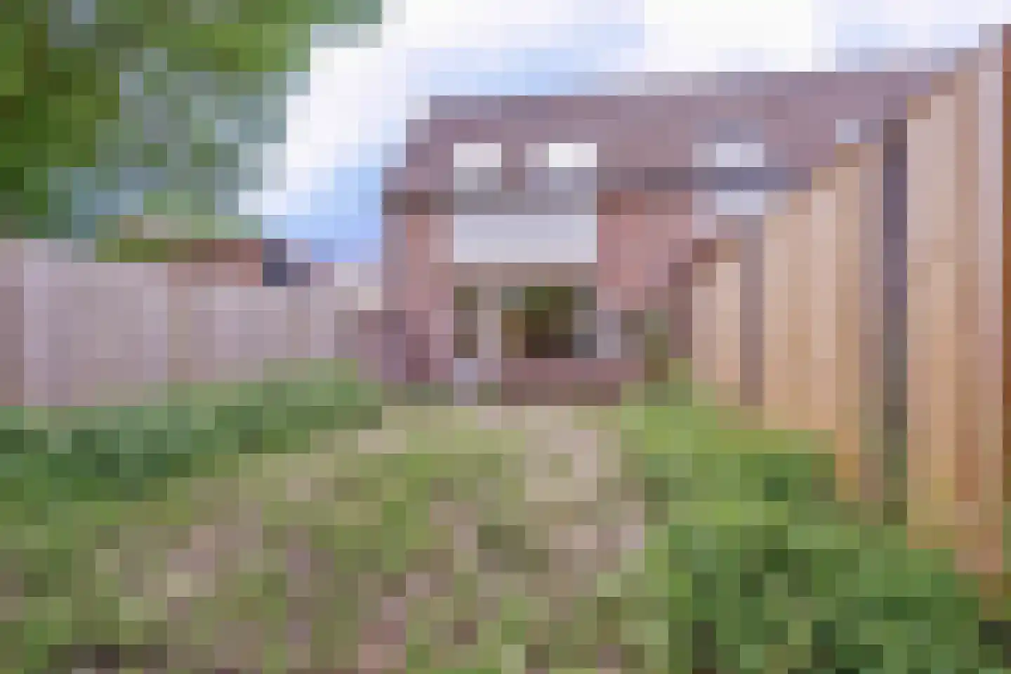 Huiserf 41 Breda thumbnail 18