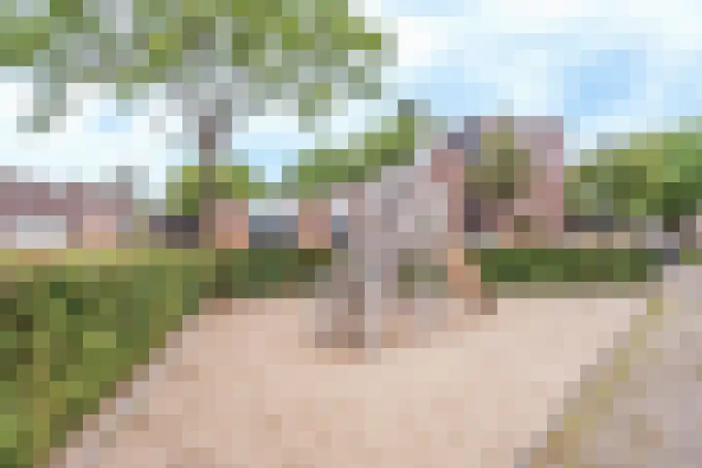 Huiserf 41 Breda thumbnail 19