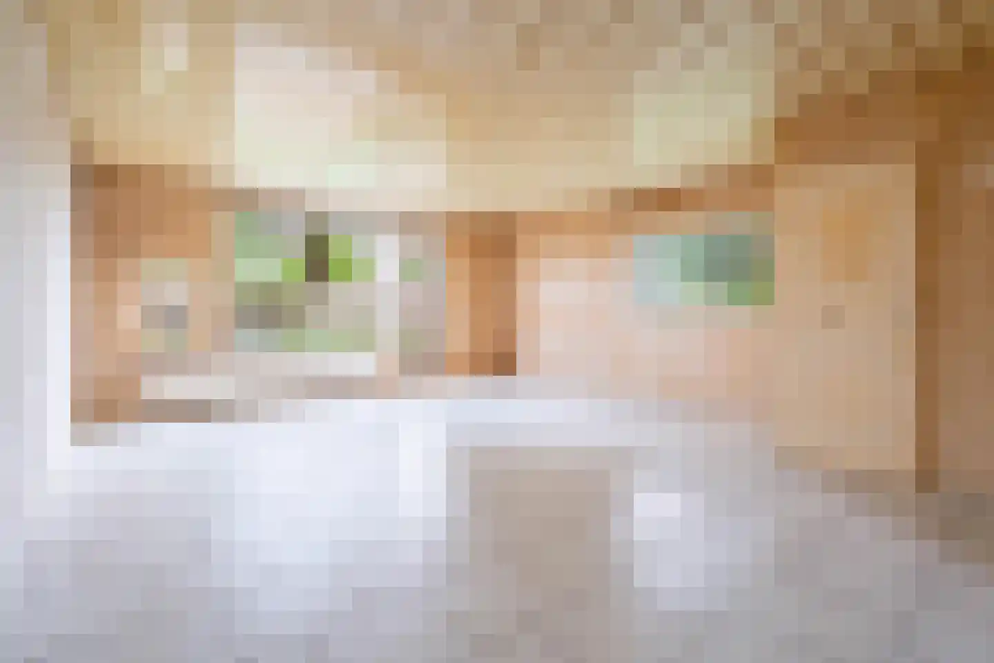 Huiserf 41 Breda thumbnail 5